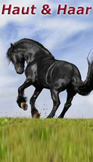 Fellglanz Schweifspray Sattelseife Glanzspray Insektenspray 