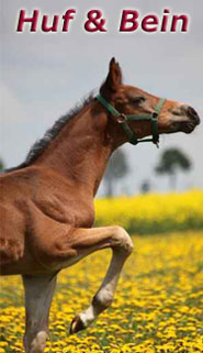 Fellglanz Schweifspray Sattelseife Glanzspray Insektenspray 