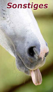 Fellglanz Schweifspray Sattelseife Glanzspray Insektenspray 